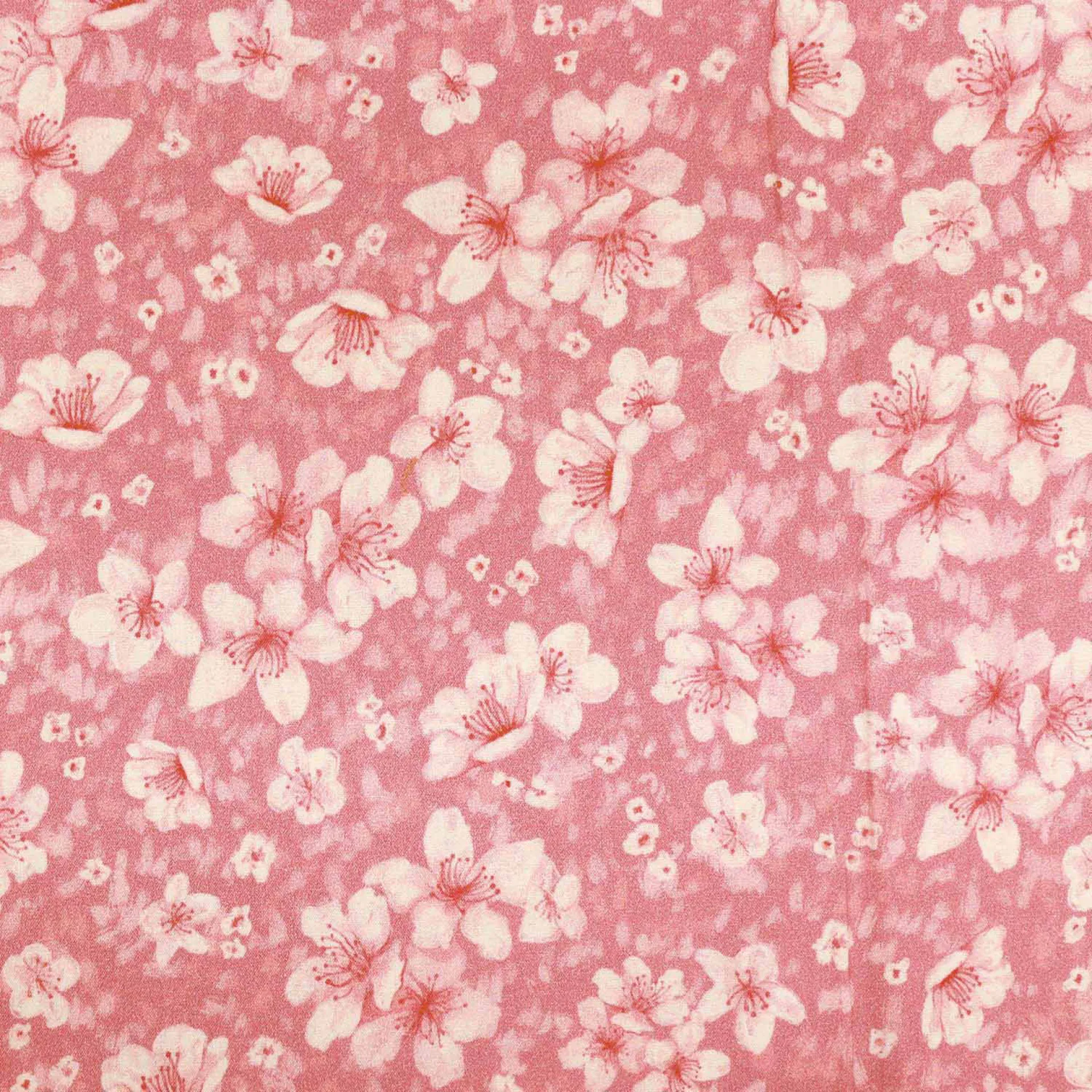 Popeline de coton Poplin Cherry Blossoms 176.