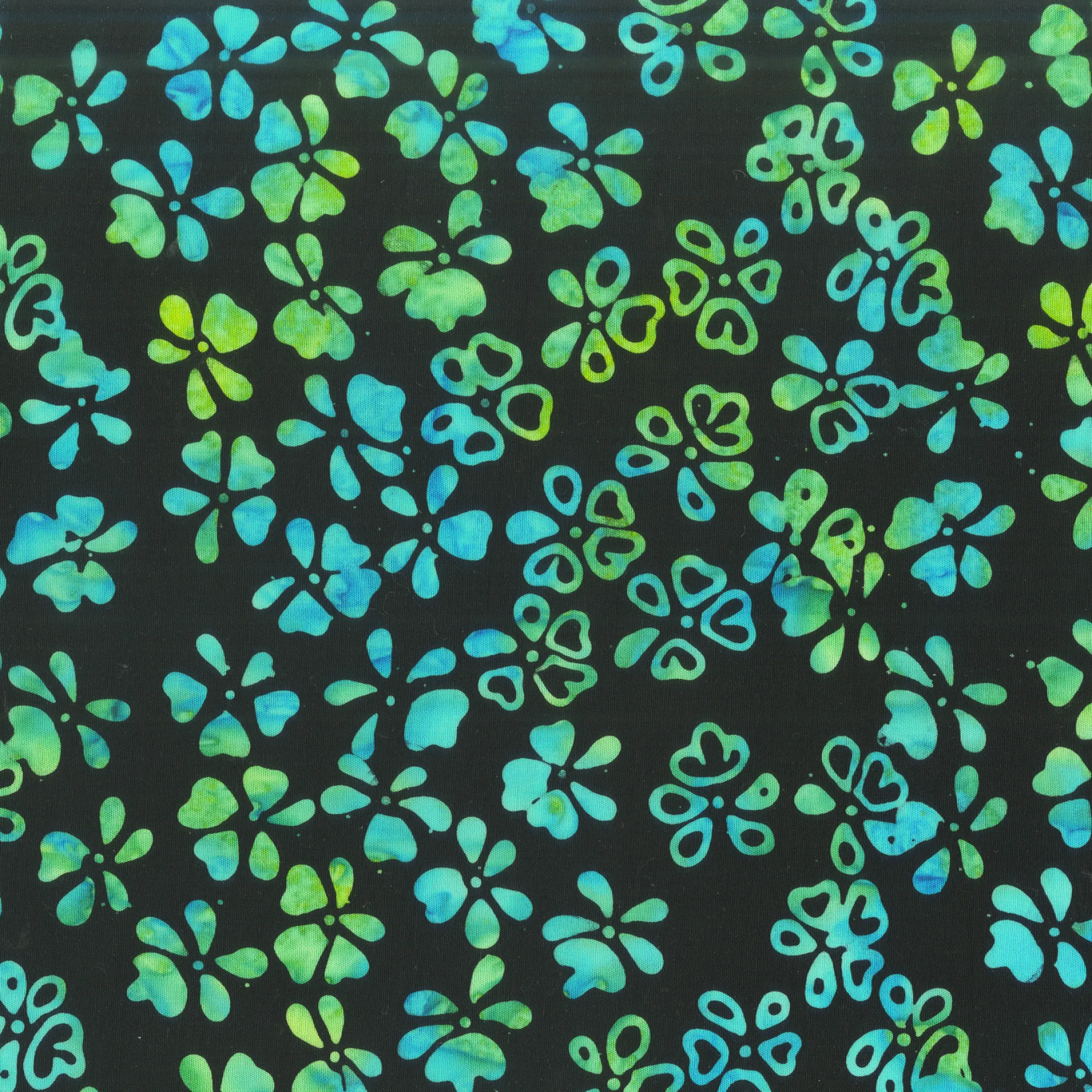 3113Q-XNightshade, Petals Black Jacqueline de.