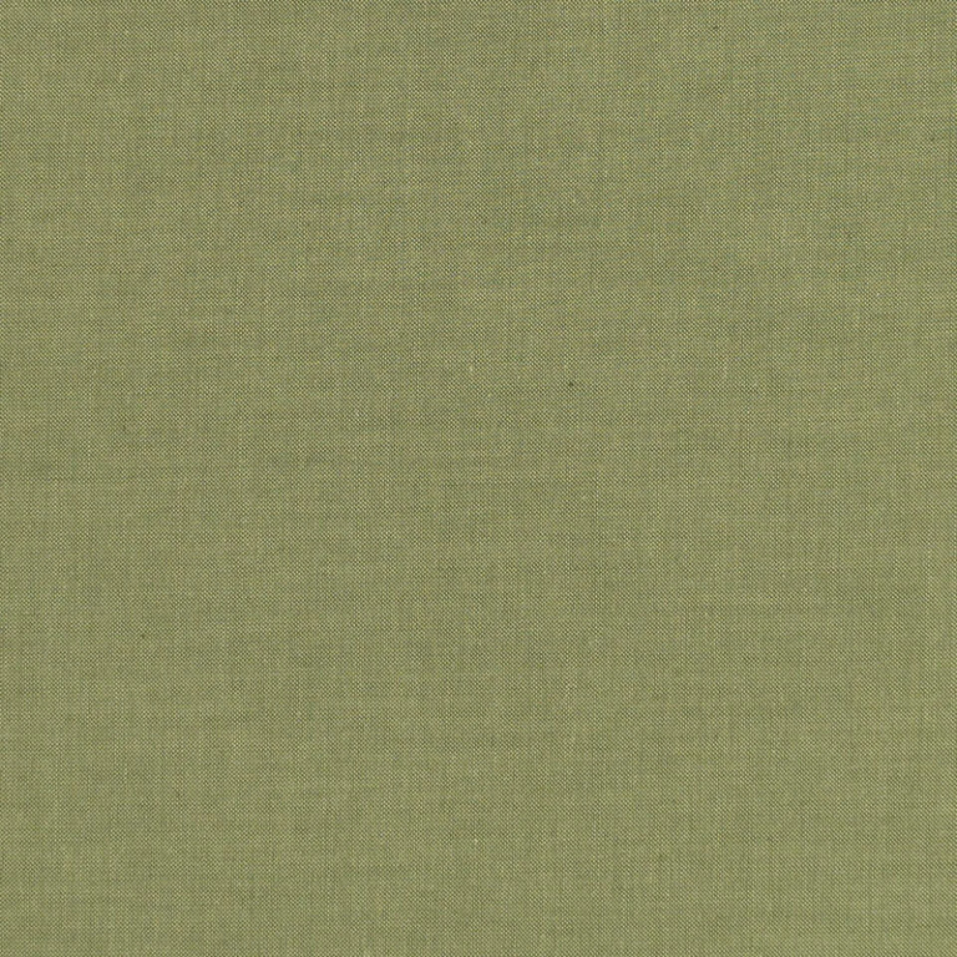 160033 Tilda 110 Chambray Pine.
