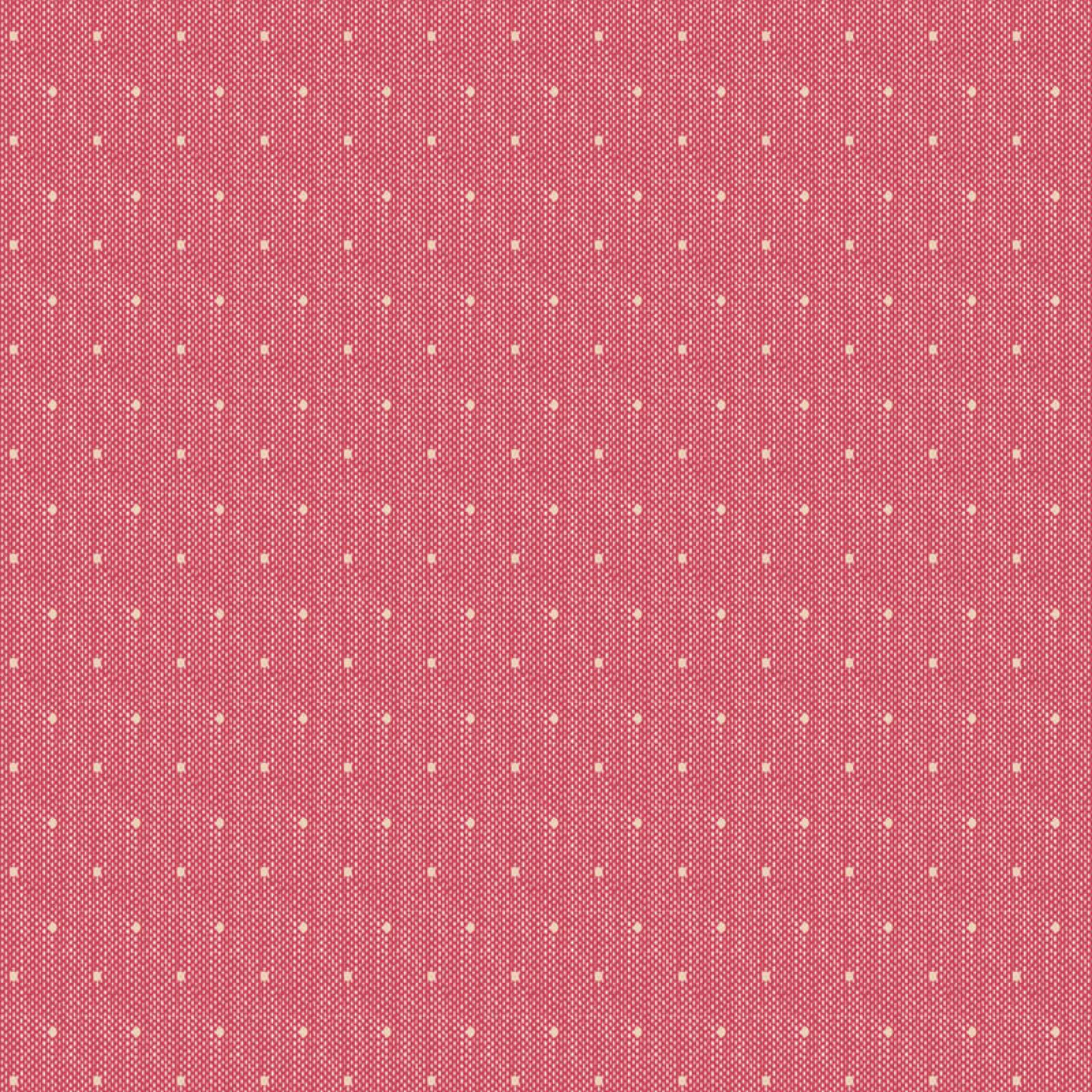 160081-Tinydot-Red Tilda 110 Herinneringen cr.
