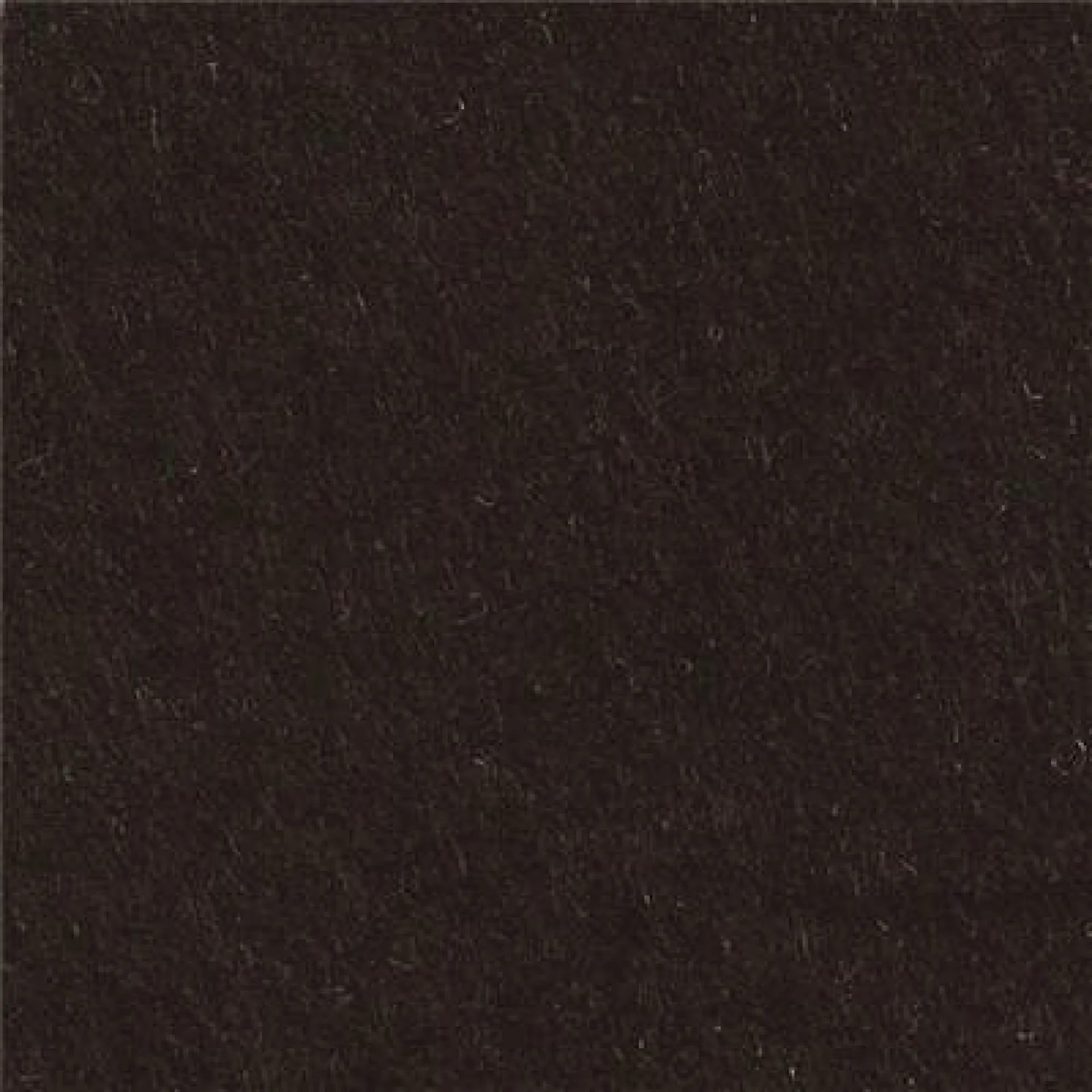 cp050 black.