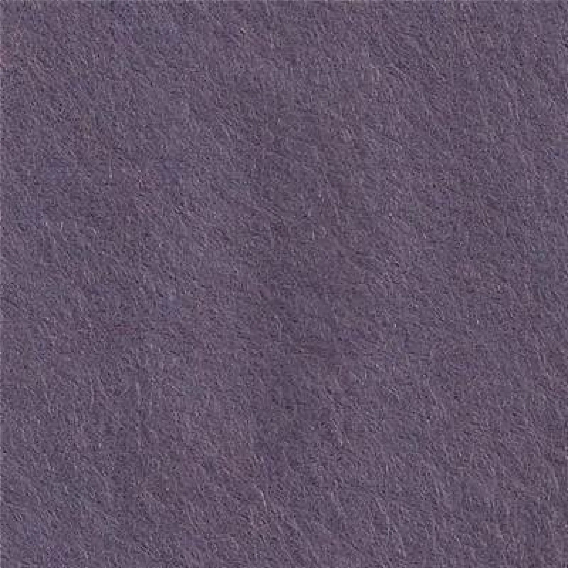 cp027 Purple Sage.