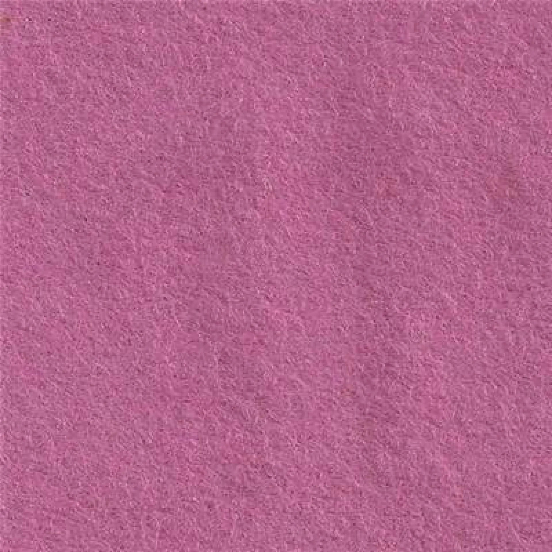 cp091 pink violet.