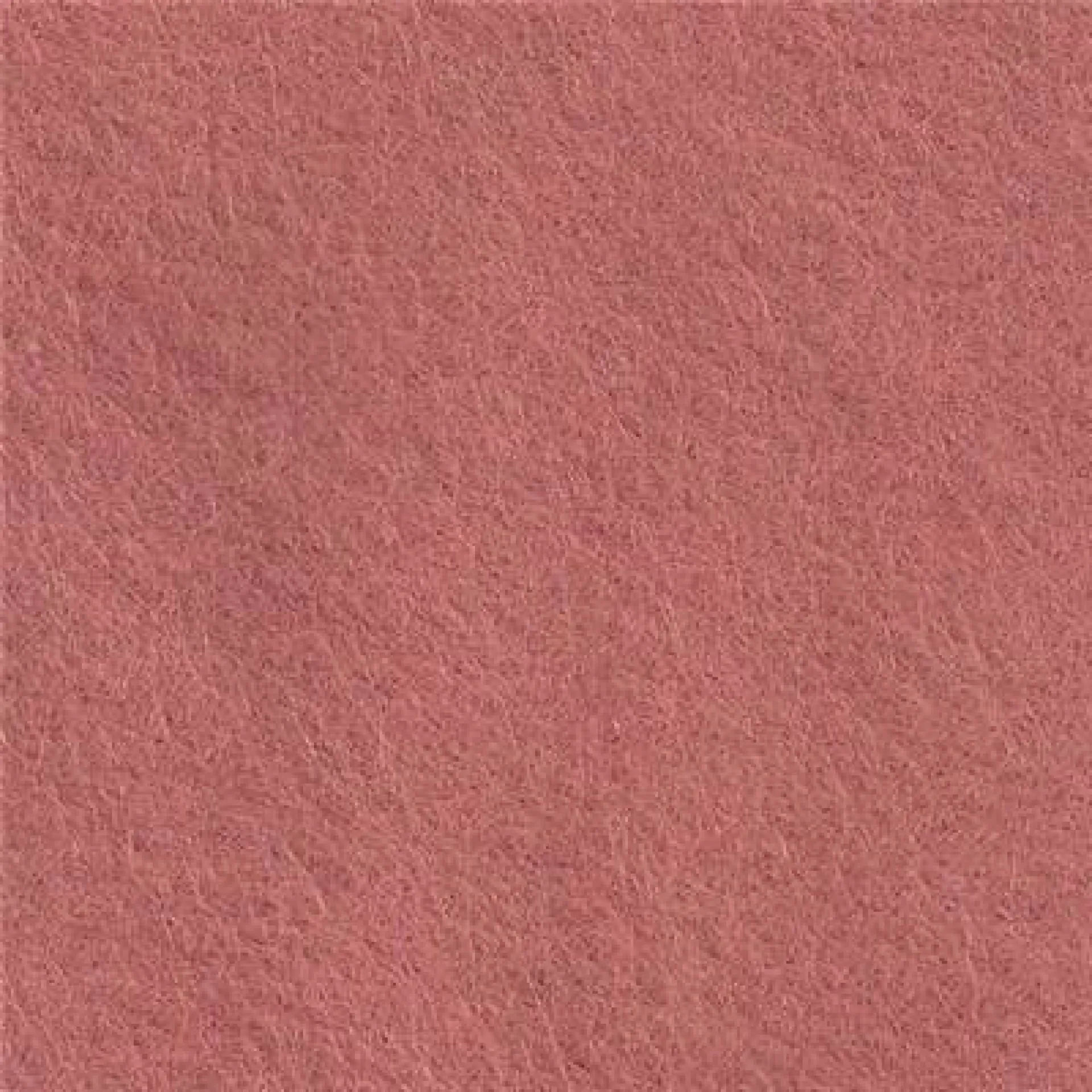 cp082 pink grapefru Cinnamon.