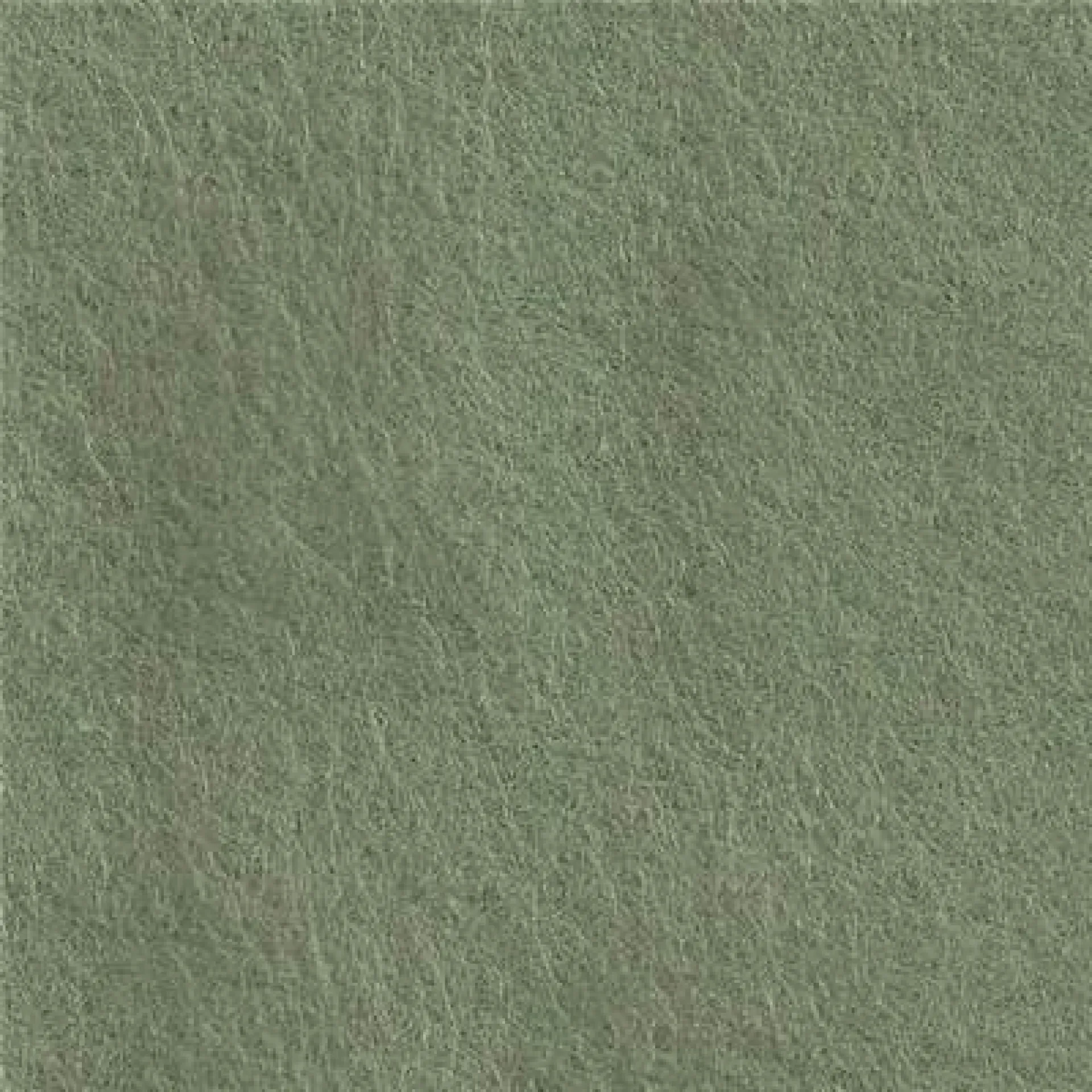 CP038-cinnamon.