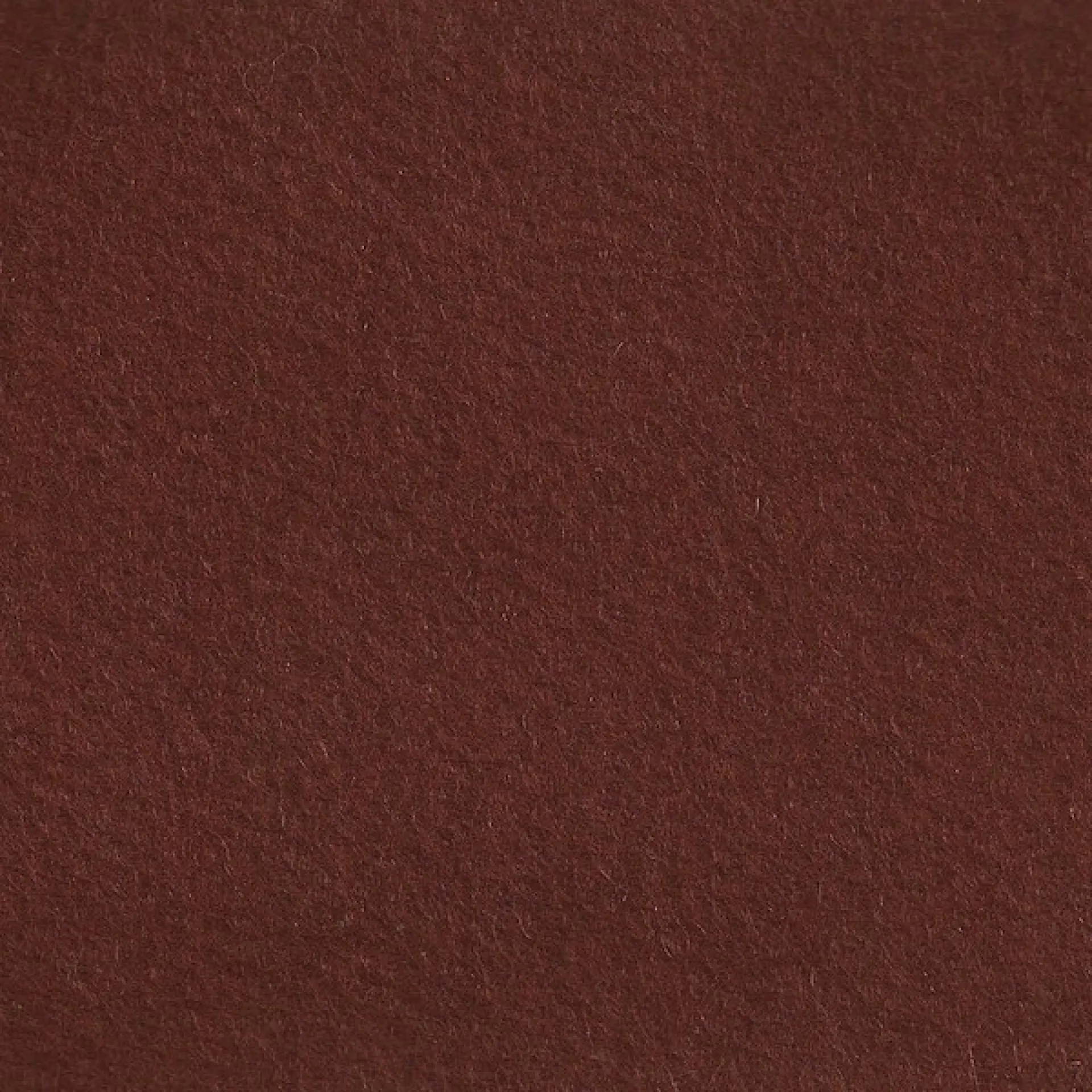 CP106 chene cinnamon.