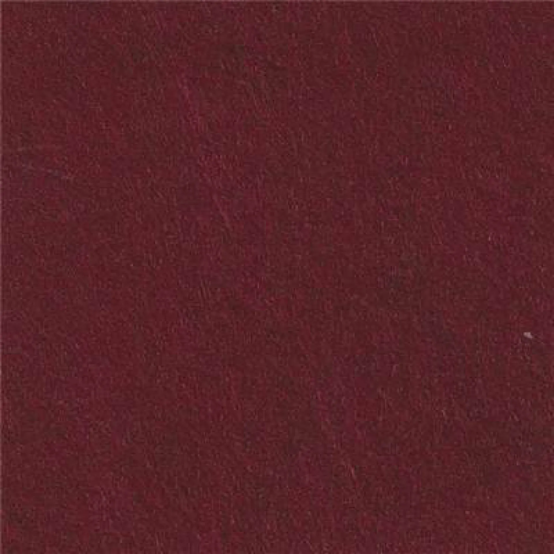 CP063-cinnamon.